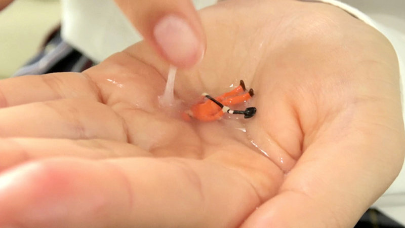 サンプル画像 13