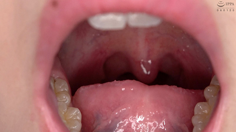 サンプル画像 11