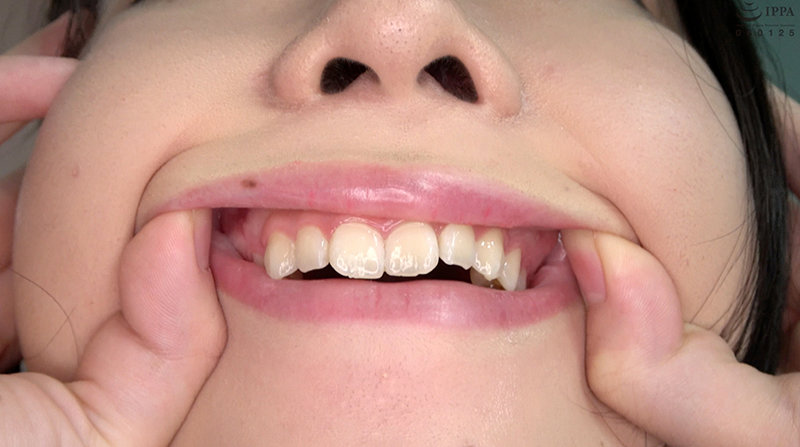 サンプル画像 12