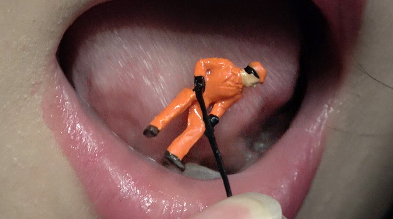 サンプル画像 4