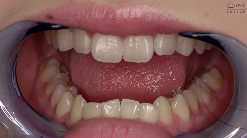 サンプル画像 9