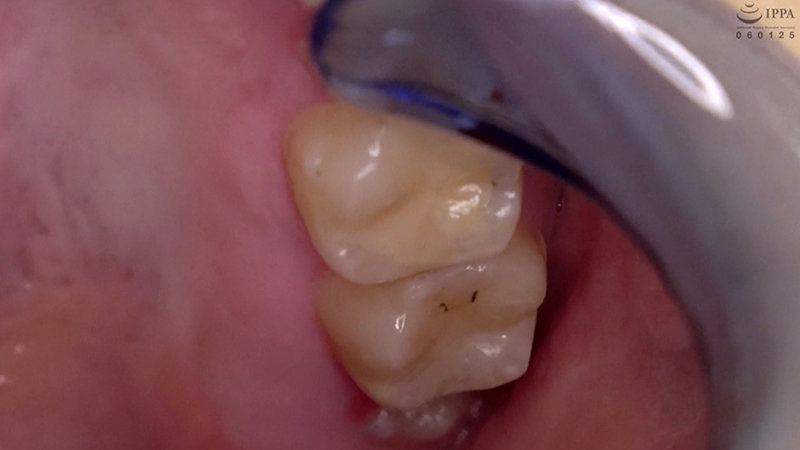 サンプル画像 11