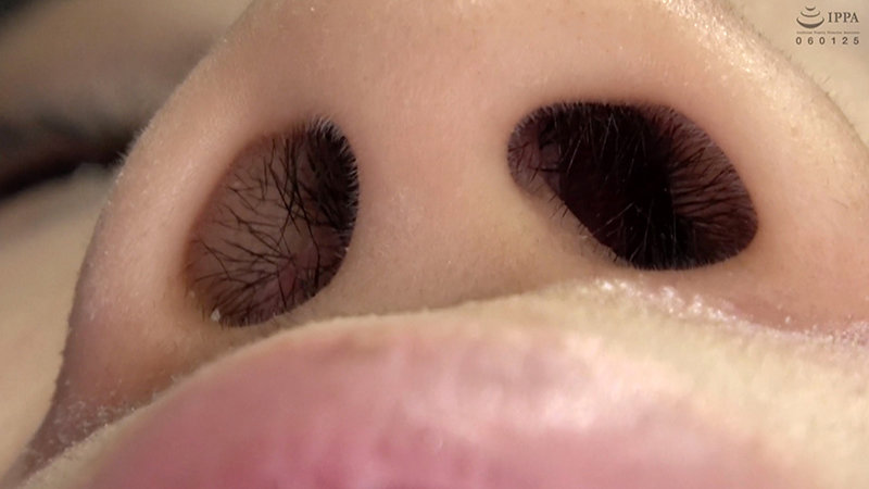 サンプル画像 12