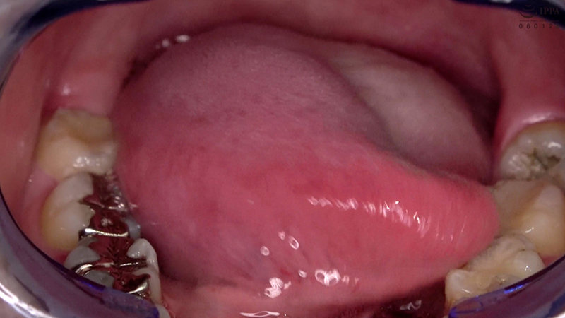 サンプル画像 13