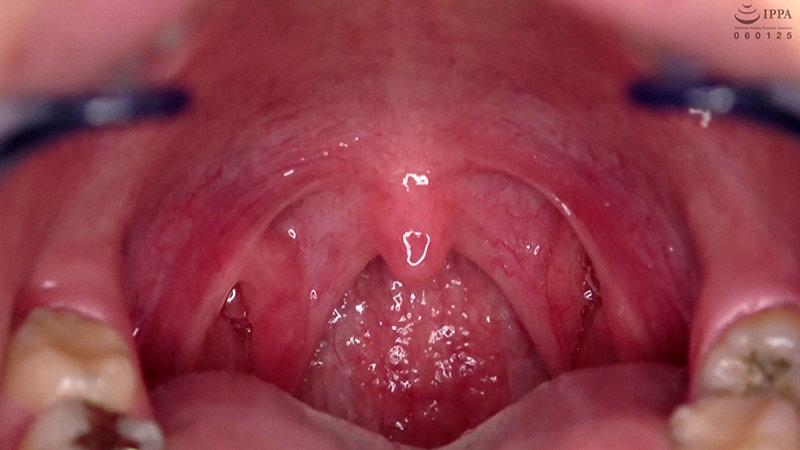 サンプル画像 14