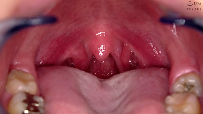 サンプル画像 15