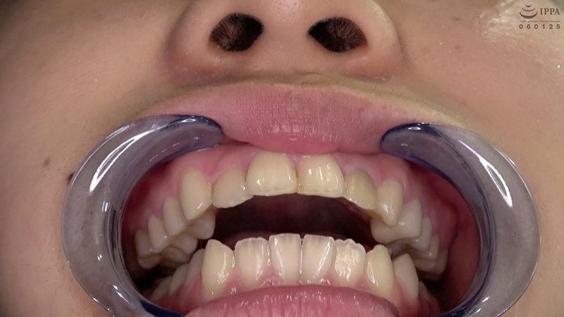 サンプル画像 8