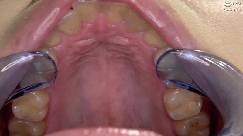 サンプル画像 10