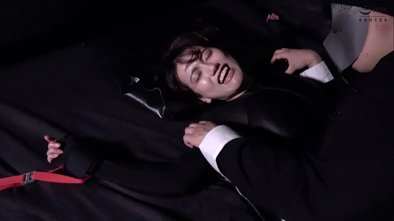 サンプル画像 6