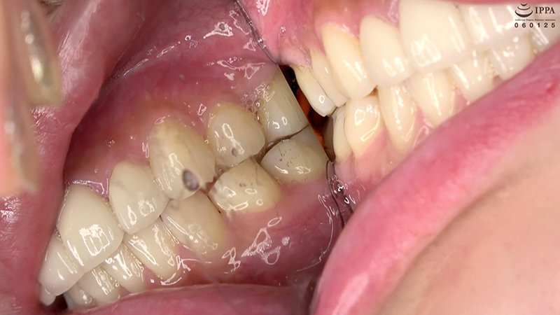 サンプル画像 11