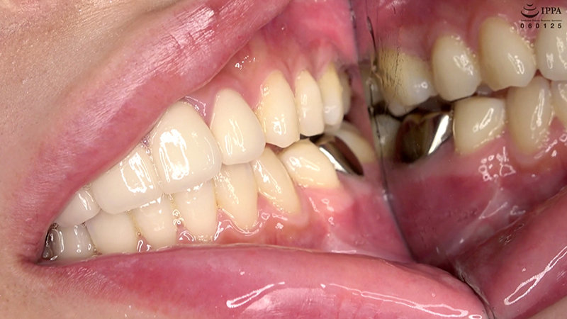 サンプル画像 12