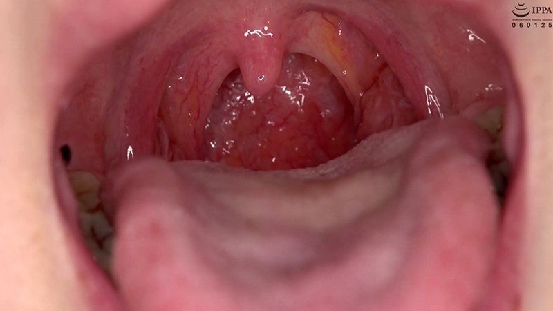 サンプル画像 13