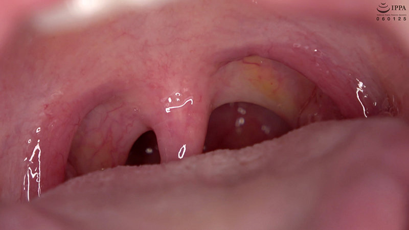 サンプル画像 14
