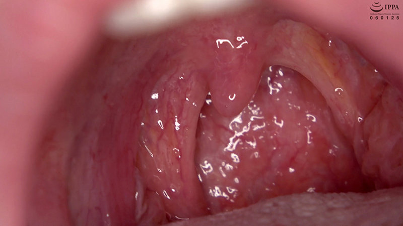 サンプル画像 15