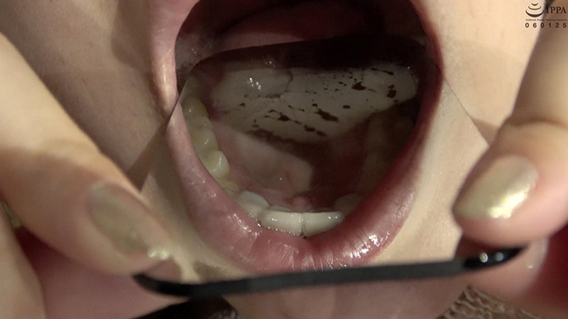 サンプル画像 6