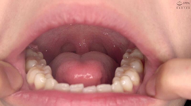 サンプル画像 11