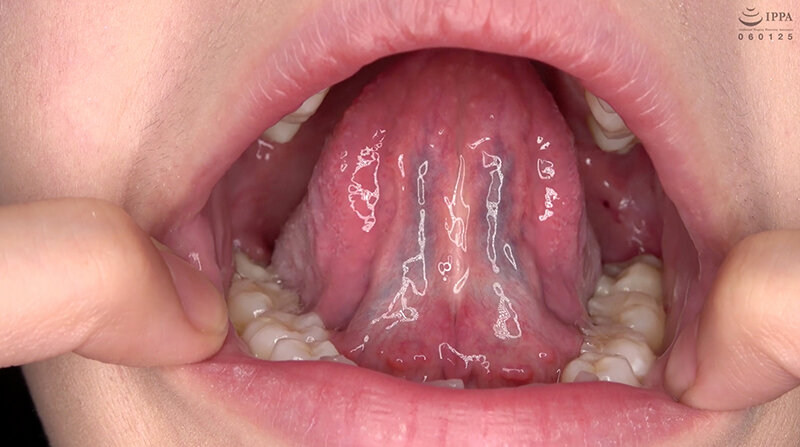 サンプル画像 13