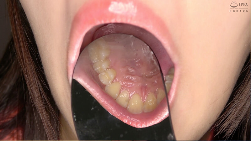 サンプル画像 13