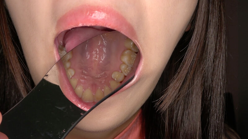 サンプル画像 15