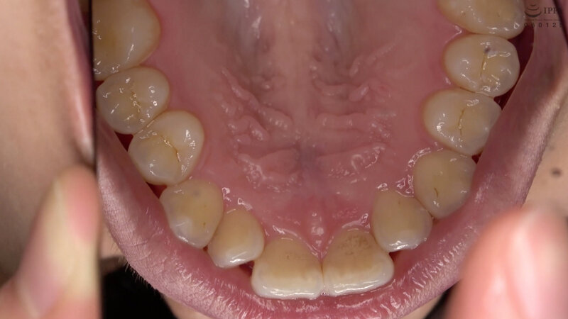 サンプル画像 12