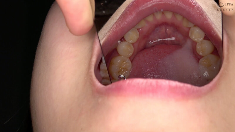 サンプル画像 13