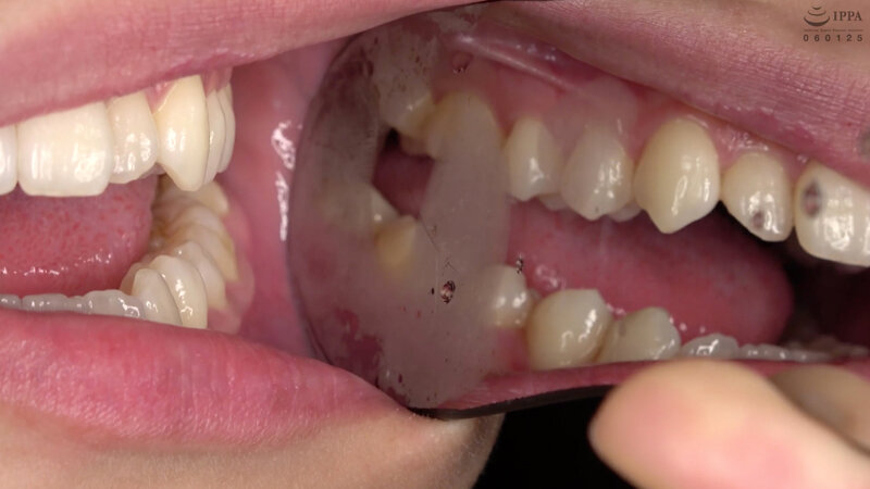 サンプル画像 10