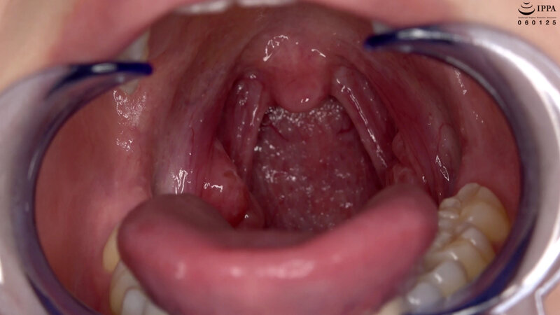 サンプル画像 11