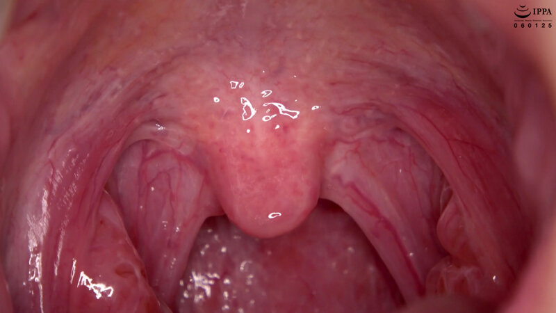 サンプル画像 16