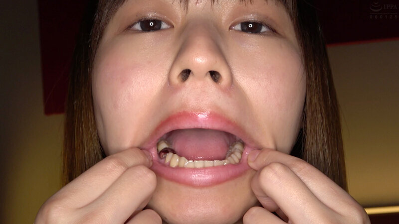 サンプル画像 13