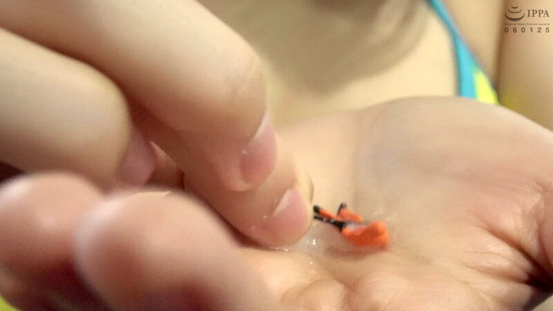 サンプル画像 12