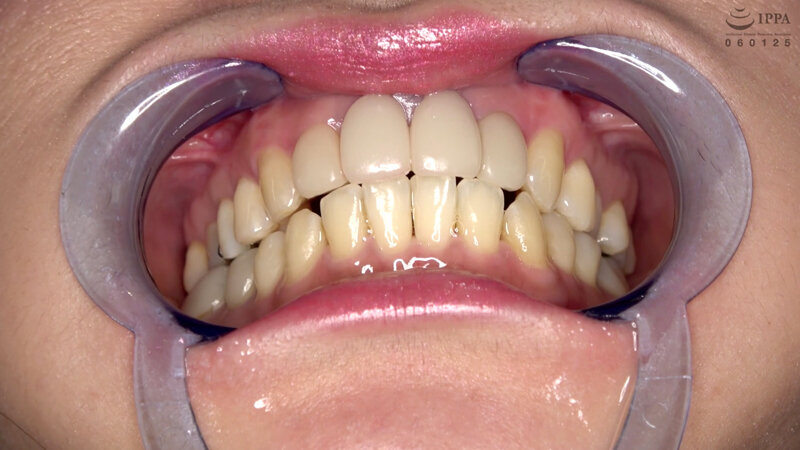 サンプル画像 11