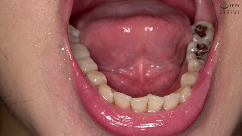 サンプル画像 16