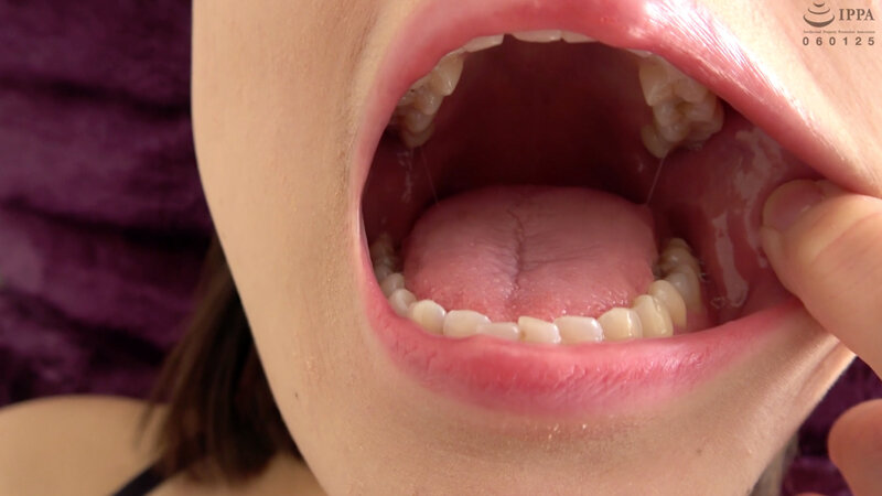 サンプル画像 12