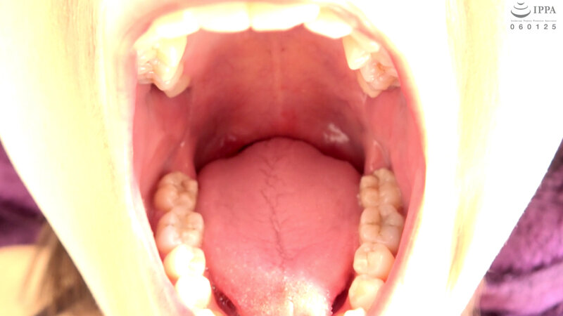 サンプル画像 13