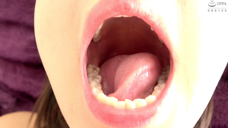 サンプル画像 16