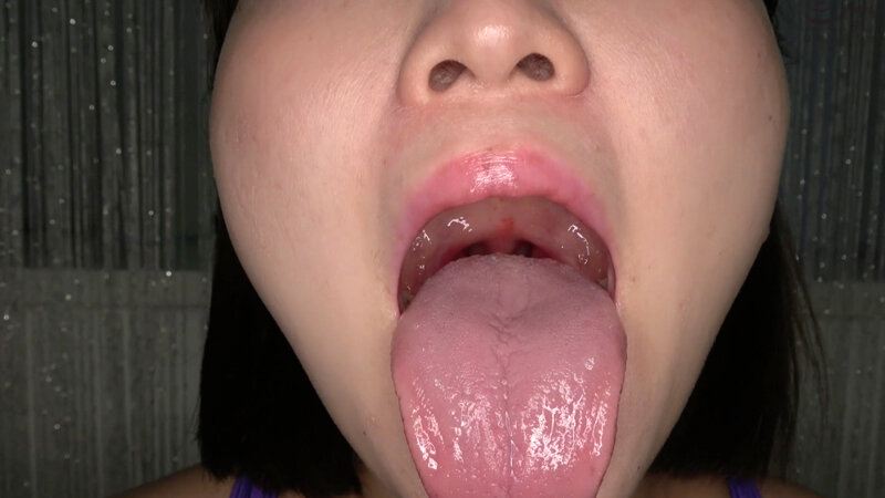 サンプル画像 12