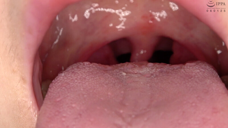 サンプル画像 13