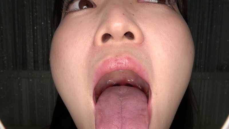 サンプル画像 14