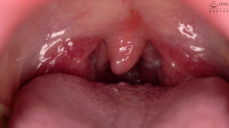 サンプル画像 16