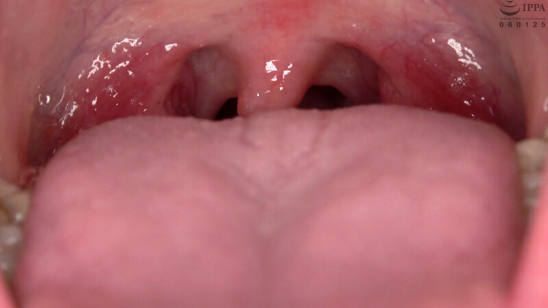 サンプル画像 17