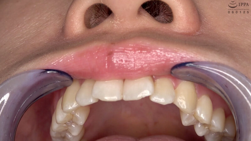 サンプル画像 8