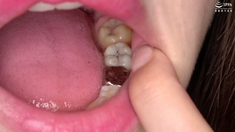 サンプル画像 11