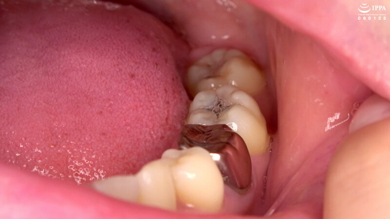 サンプル画像 12