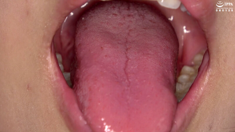 サンプル画像 13