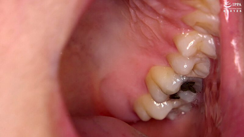 サンプル画像 13