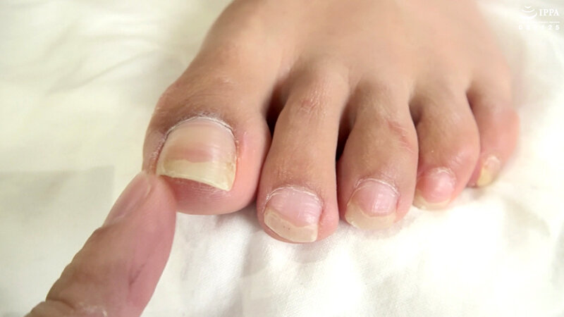 サンプル画像 6