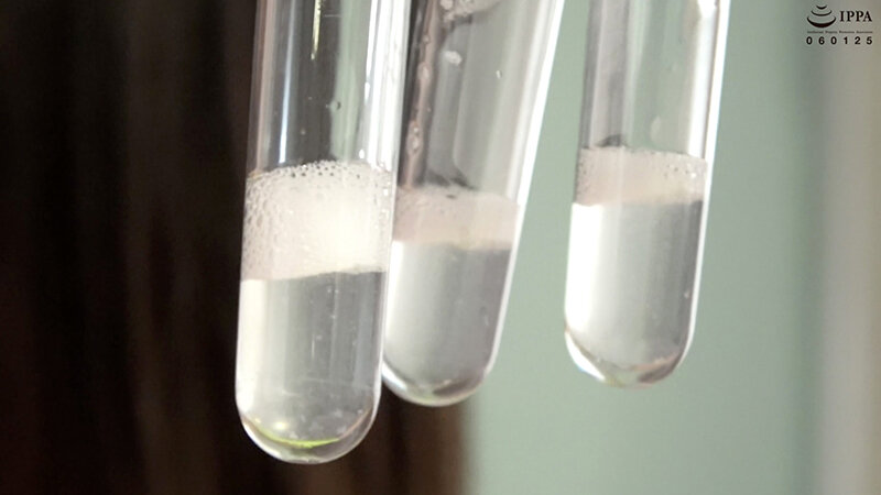 サンプル画像 15