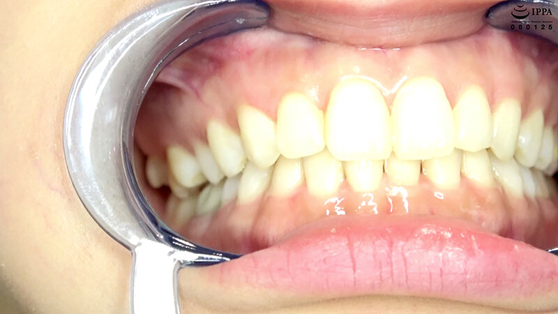 サンプル画像 8