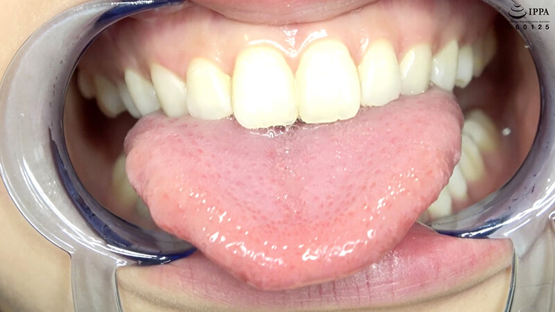 サンプル画像 9