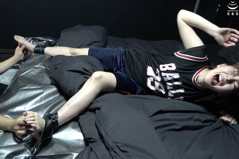 サンプルプレビュー